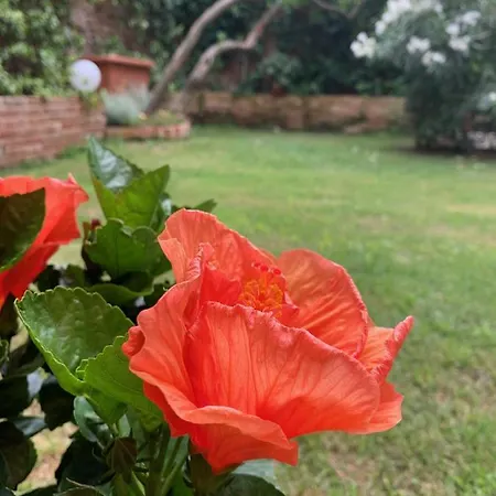 P1779公寓 住宿加早餐酒店 威尼斯